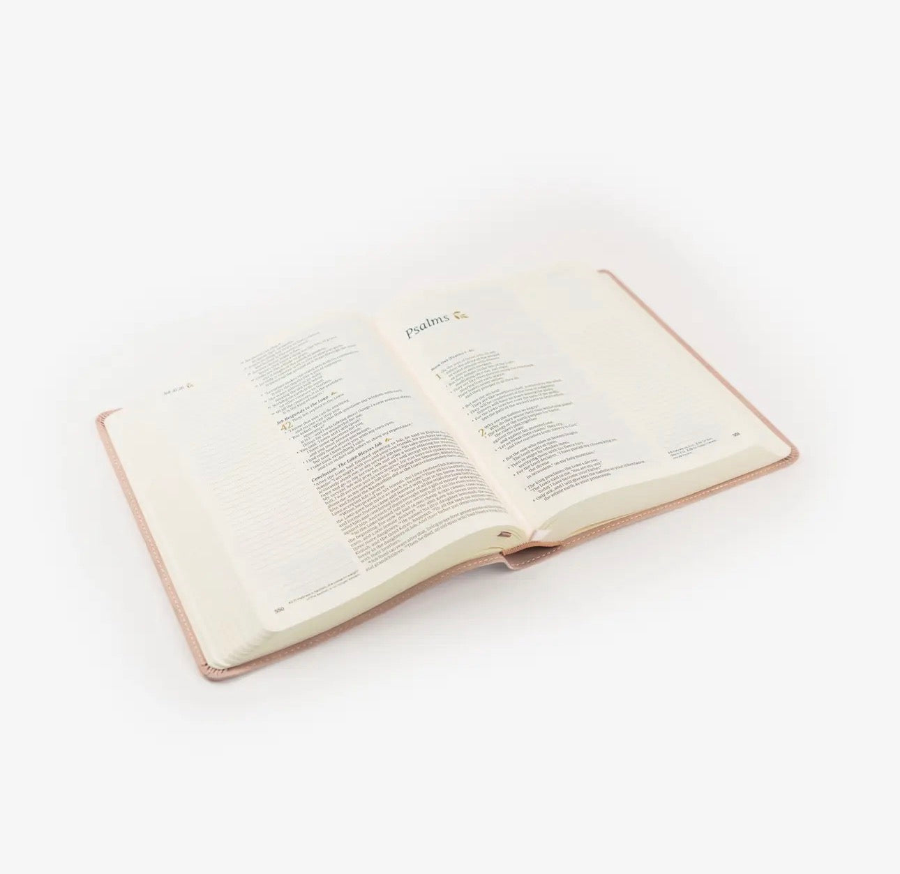 Note-taking Shiloh Bible