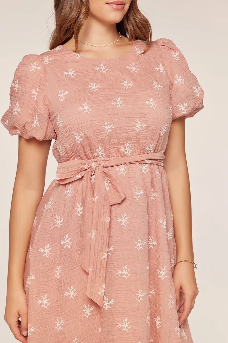 Ellie Embroidered Dress