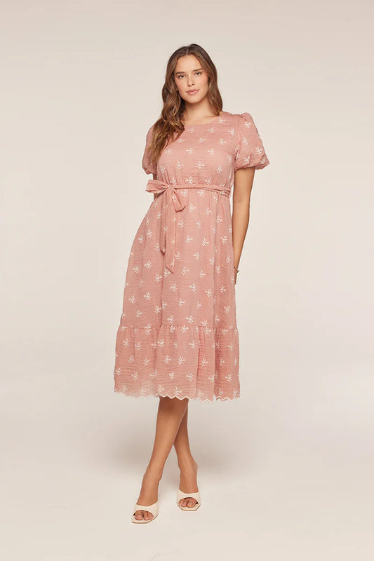 Ellie Embroidered Dress