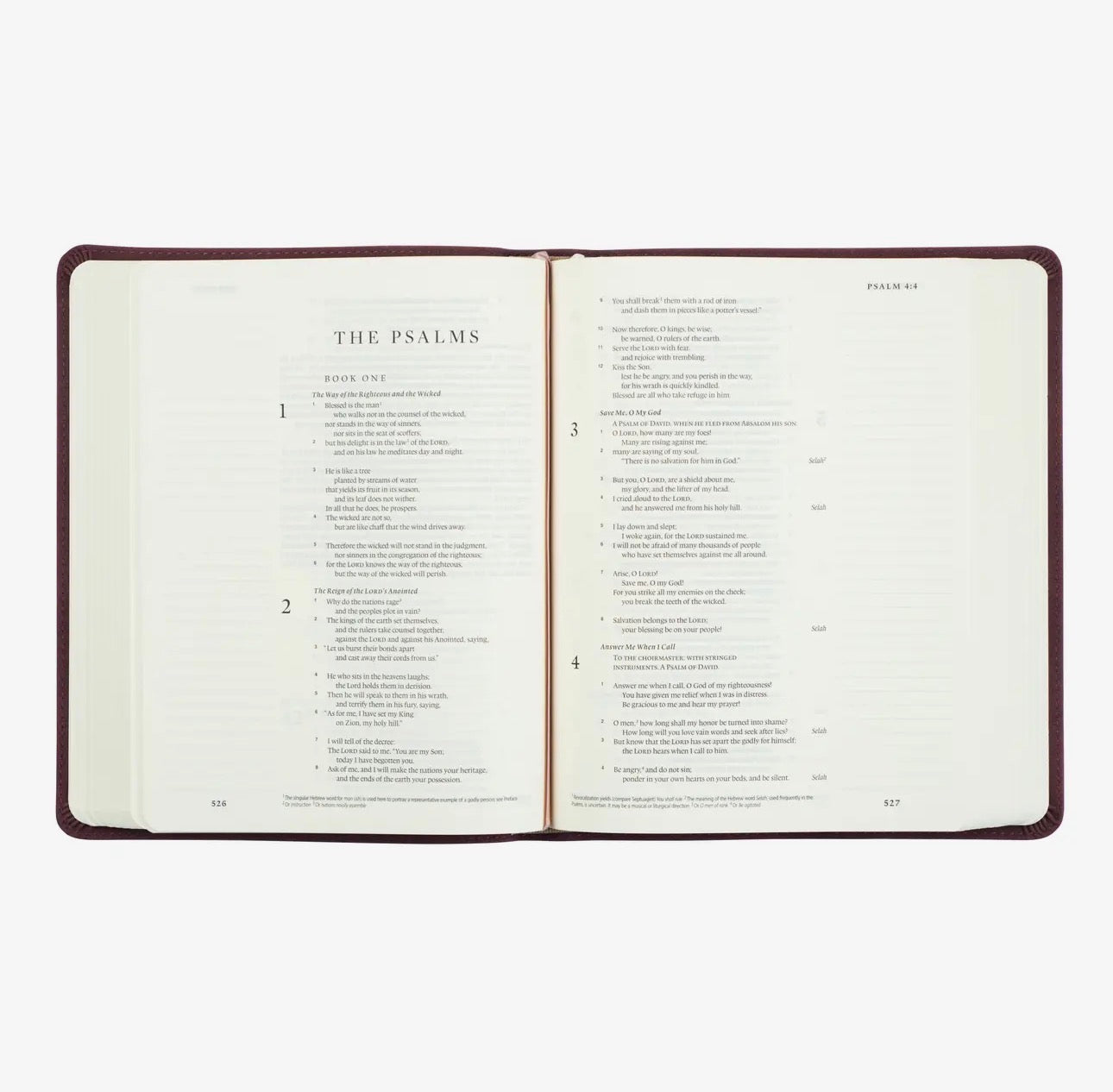 Note-taking Helena Bible