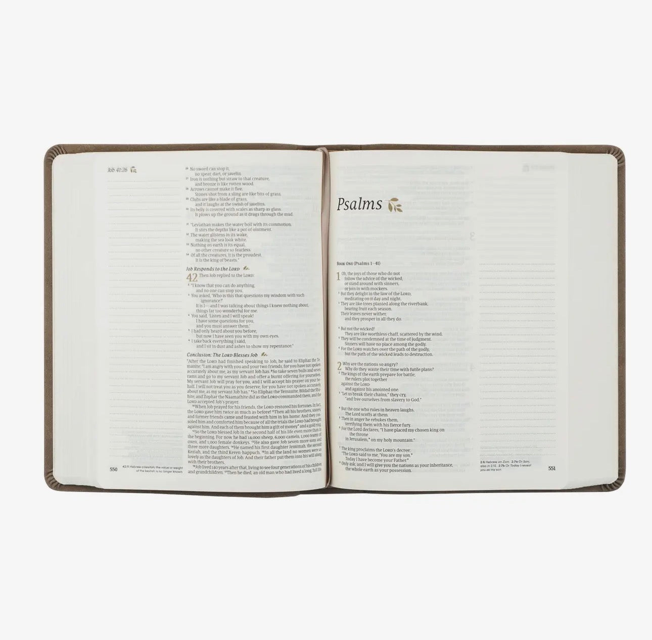 Note-taking Marlo Bible