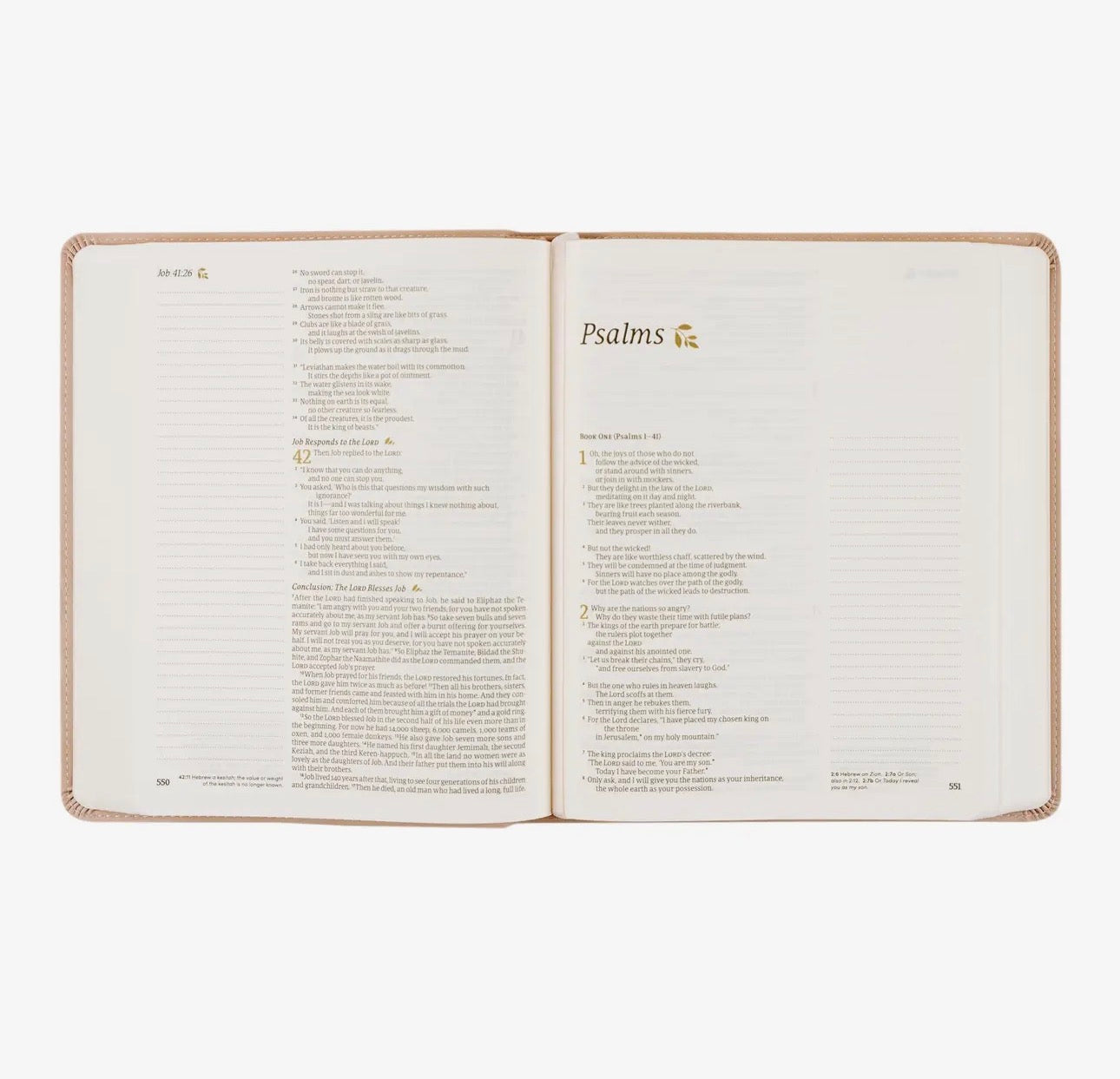 Note-taking Shiloh Bible